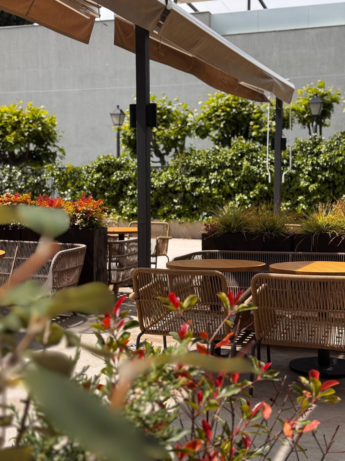 Terraza de El Patio de La Haçienda, Torrelodones